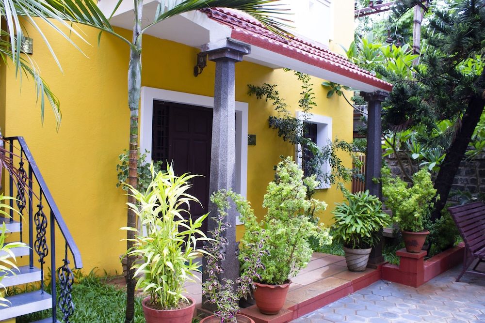 Poppys Olive De Villa 2