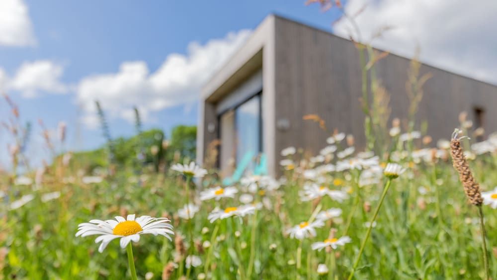 Terre D Horizon Auvergne -1 estrelas em Chastreix