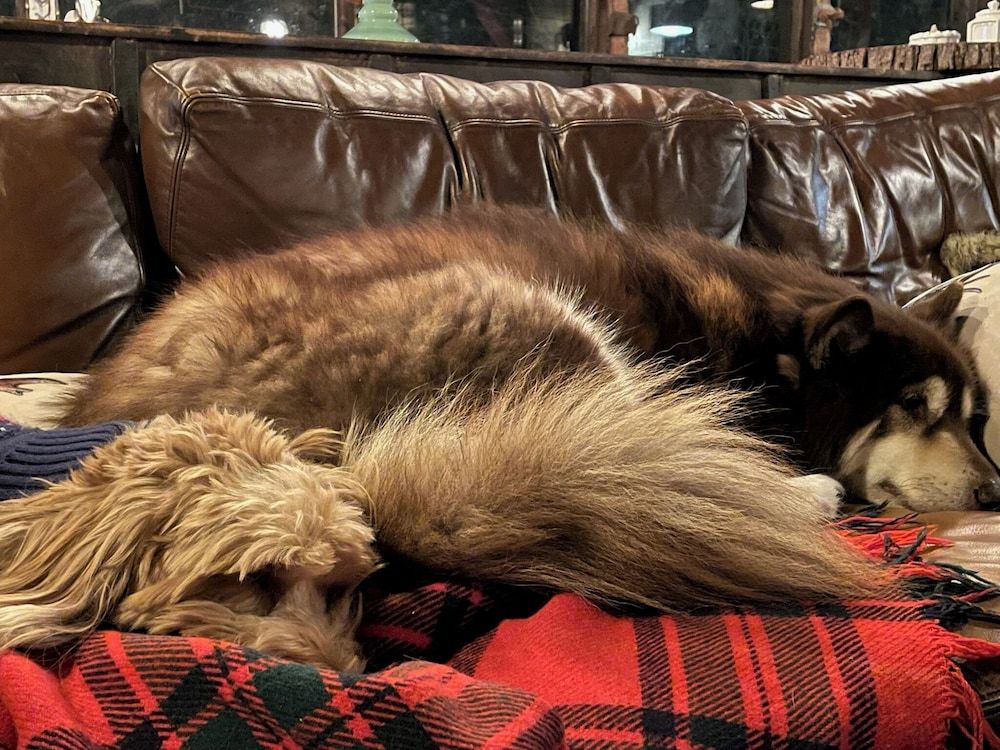 Grunberg Haus Inn & Cabins 3