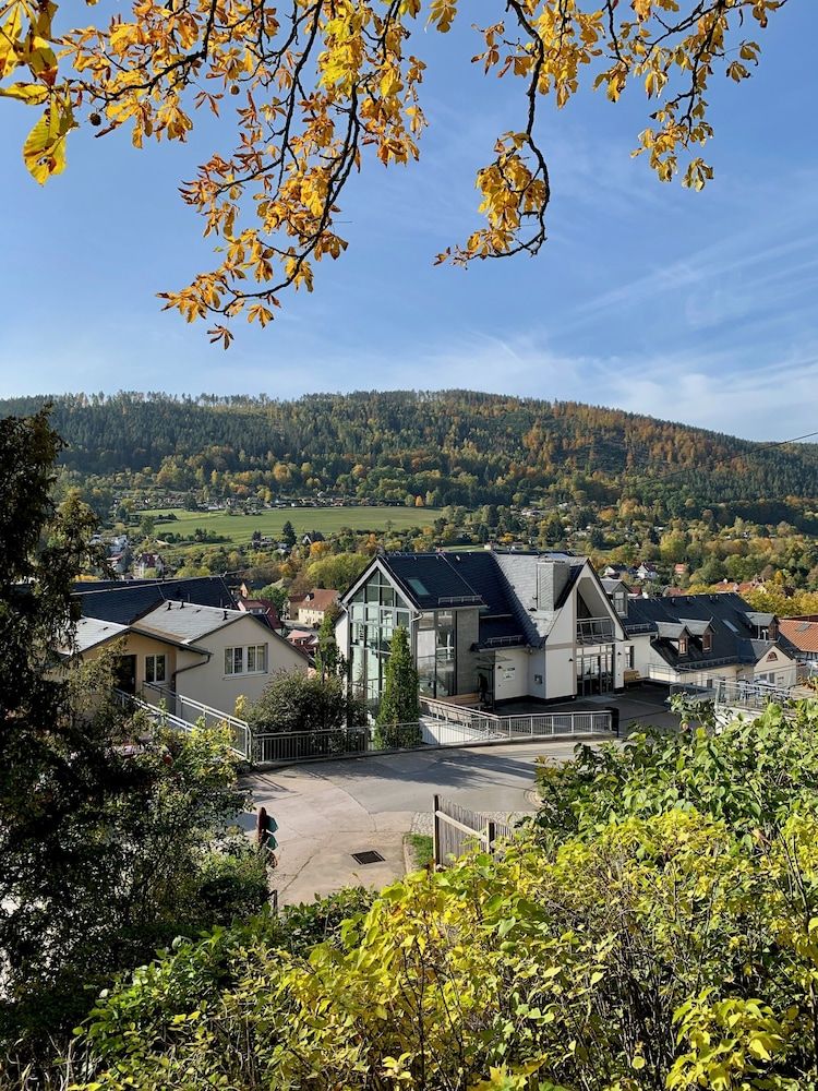 Villa Frieden Hotel & Seminarhaus 2