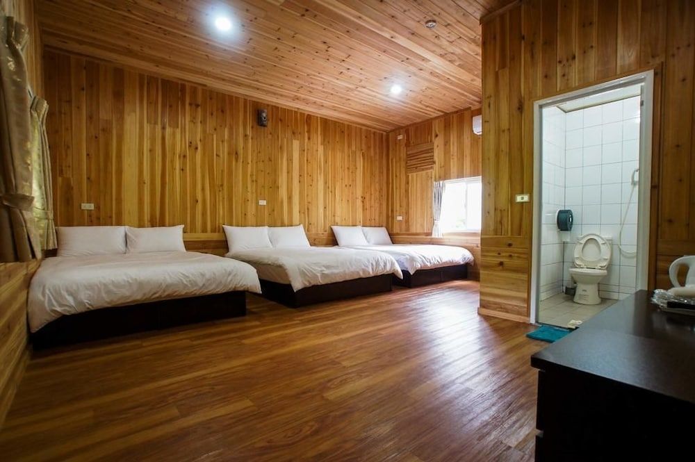 Hemerocallis Country House 2