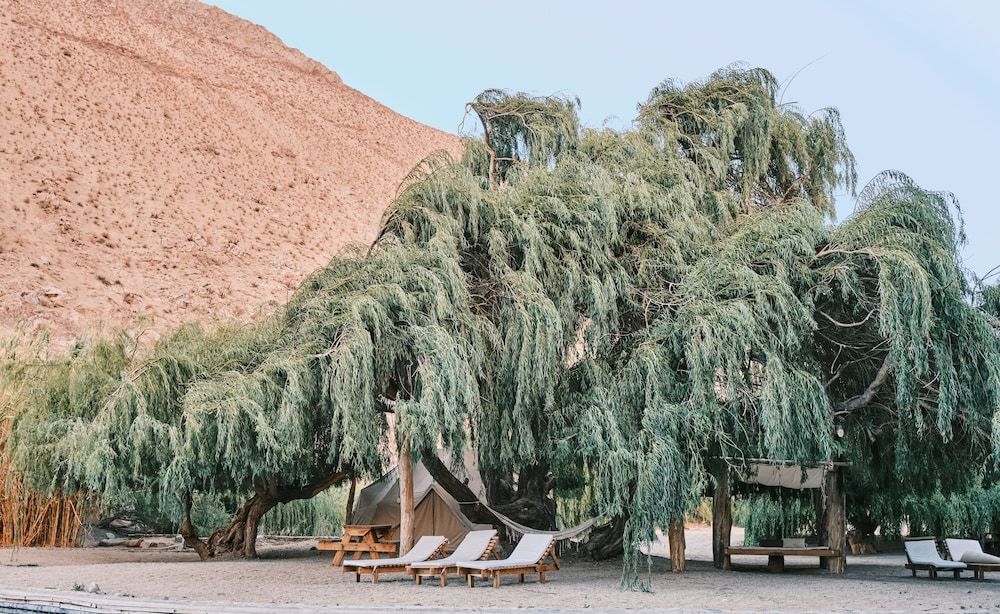 Glamping Miraflores 4 étoiles à Vicuña