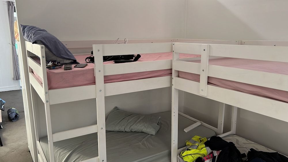 Palm Hamilton BackPackers 2