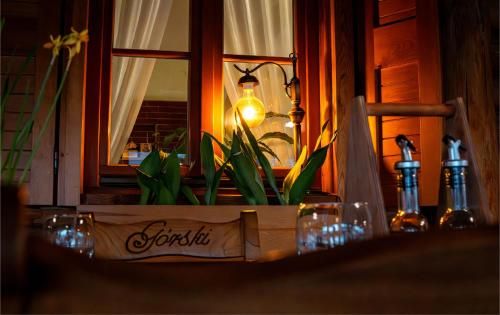 Hotel Górski 3