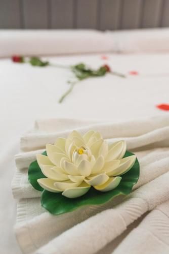 CASA BANDERAS SPA & GESTION CAMINITO DEL REY Safari a Pie 2