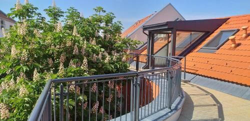 Piacsek Apartmanház 3