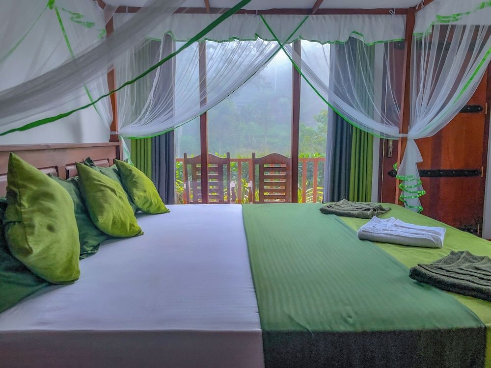 Rain Forest Vibe Sinharaja 3