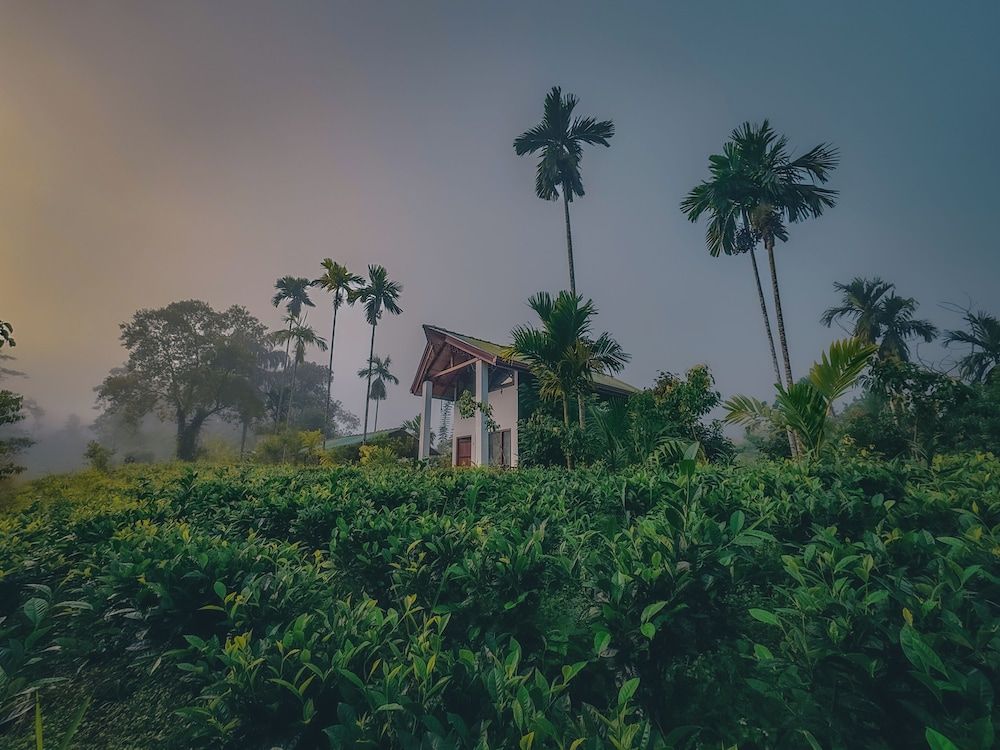Rain Forest Vibe Sinharaja -1 estrelas em Deniyaya