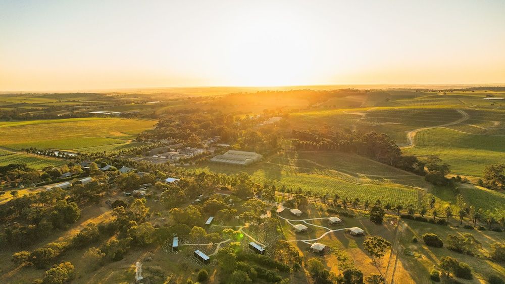 CABN X Seppeltsfield Barossa -1 estrelas em Seppeltsfield