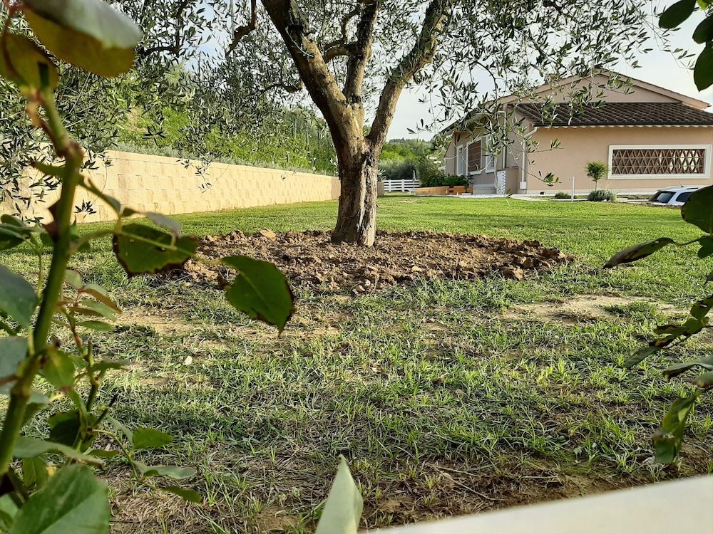 Le Mammole -1 estrelas em San Miniato