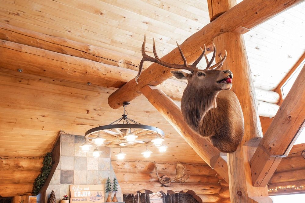 Lochsa Lodge Resort 3