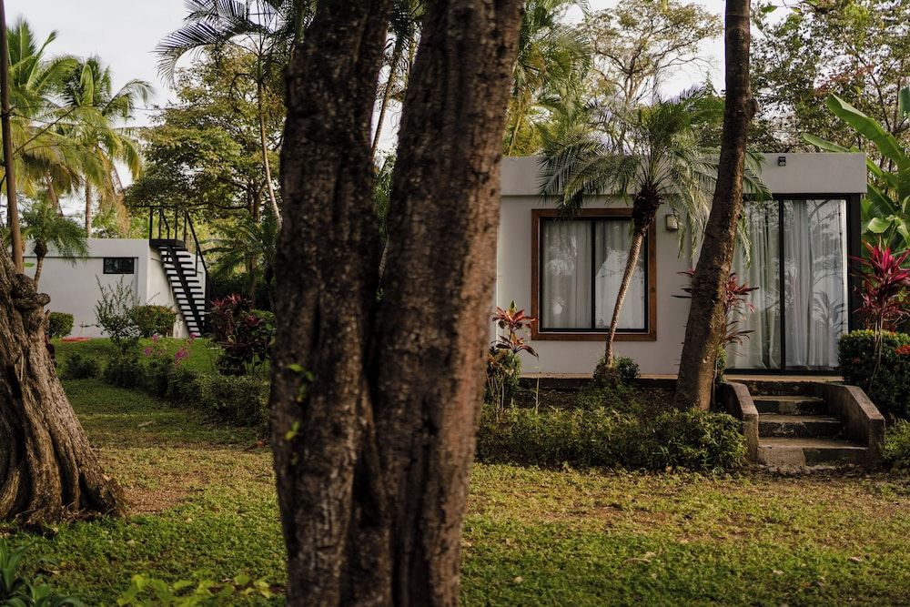 The Bohemian  Lagarto 2