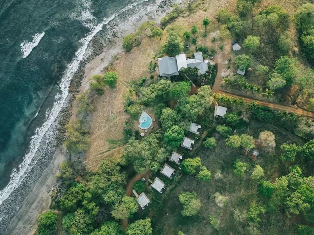 The Bohemian  Lagarto -1 étoiles à Santa Cruz