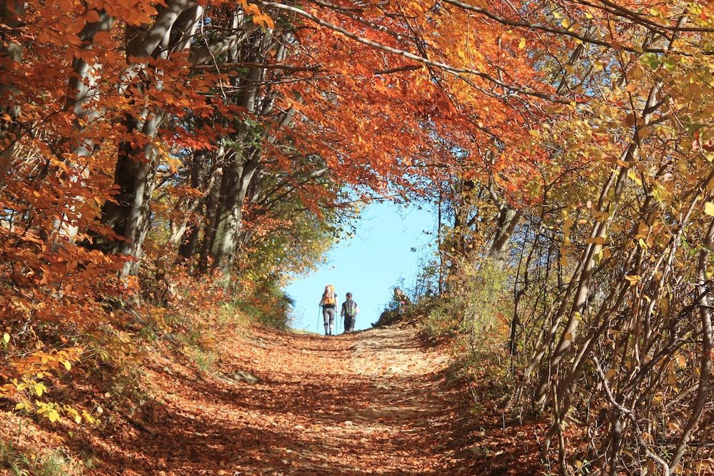 Hotel NAT Piwniczna Zdrój 3 estrelas em Piwniczna-Zdrój