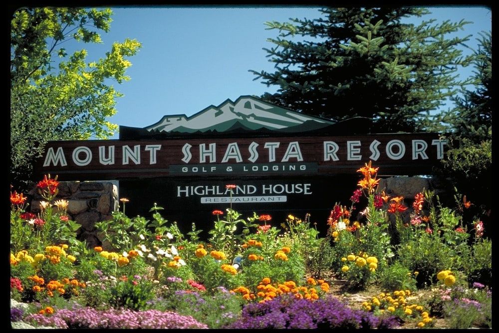 Mount Shasta Resort 2