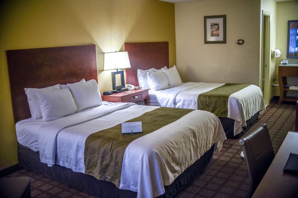 Quality Inn & Suites Northampton - Amherst 3