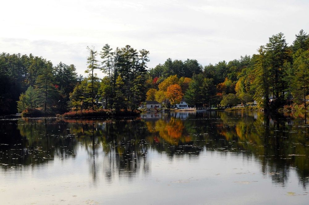 Purity Spring Resort -1 estrelas em Madison