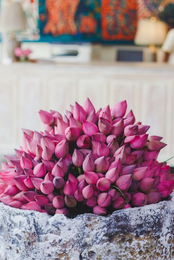 Sigiriana Resort by Thilanka 2