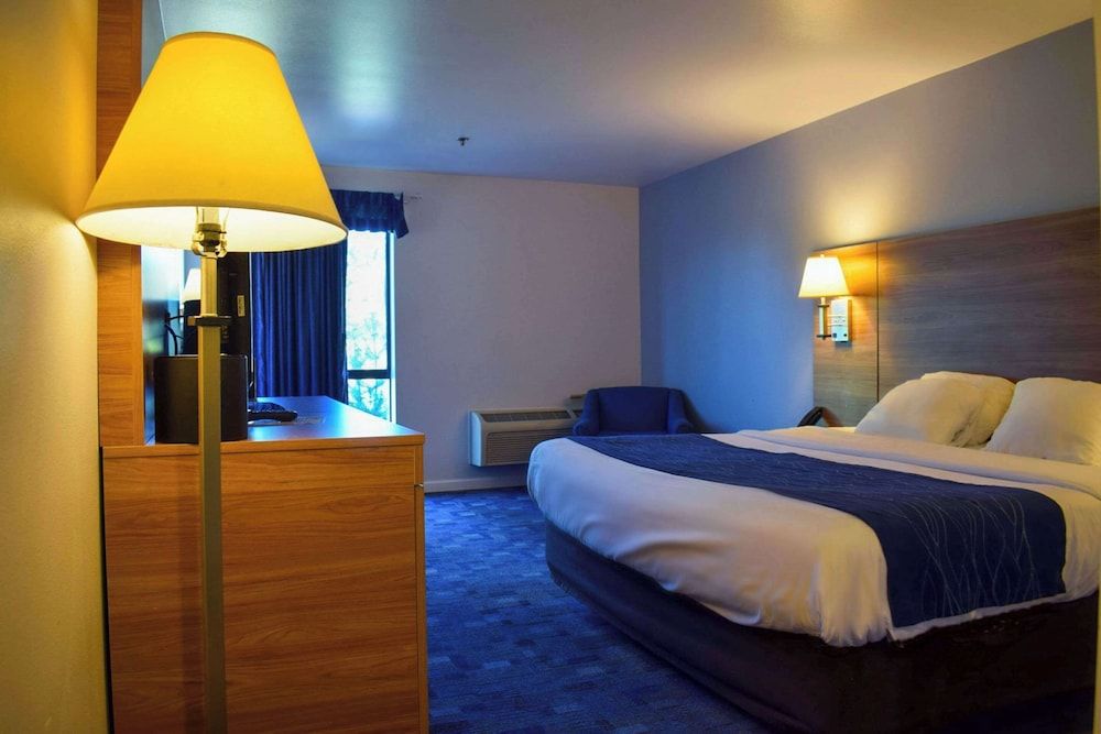 Comfort Inn Bellingham 3 estrelas em Bellingham