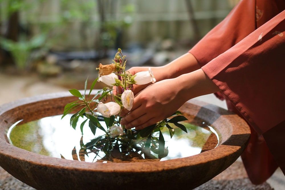 Shiratama no Yu Senkei 2