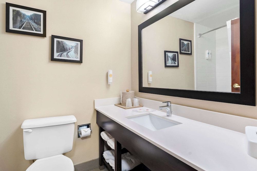 Comfort Suites near Robins Air Force Base 2