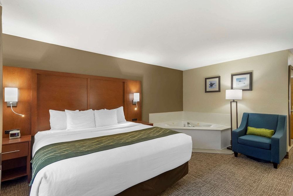 Comfort Inn & Suites - near Robins Air Force Base Main Gate 2