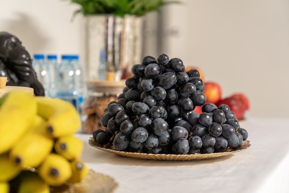 Boardinghouse Burgpark 2