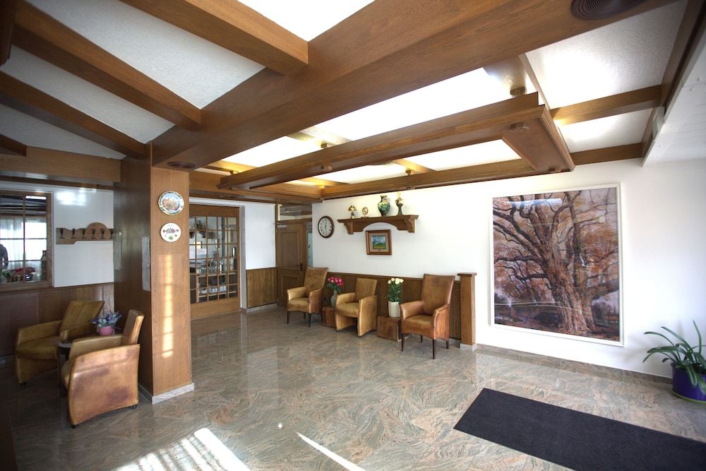 Airport Hotel Walldorf 2