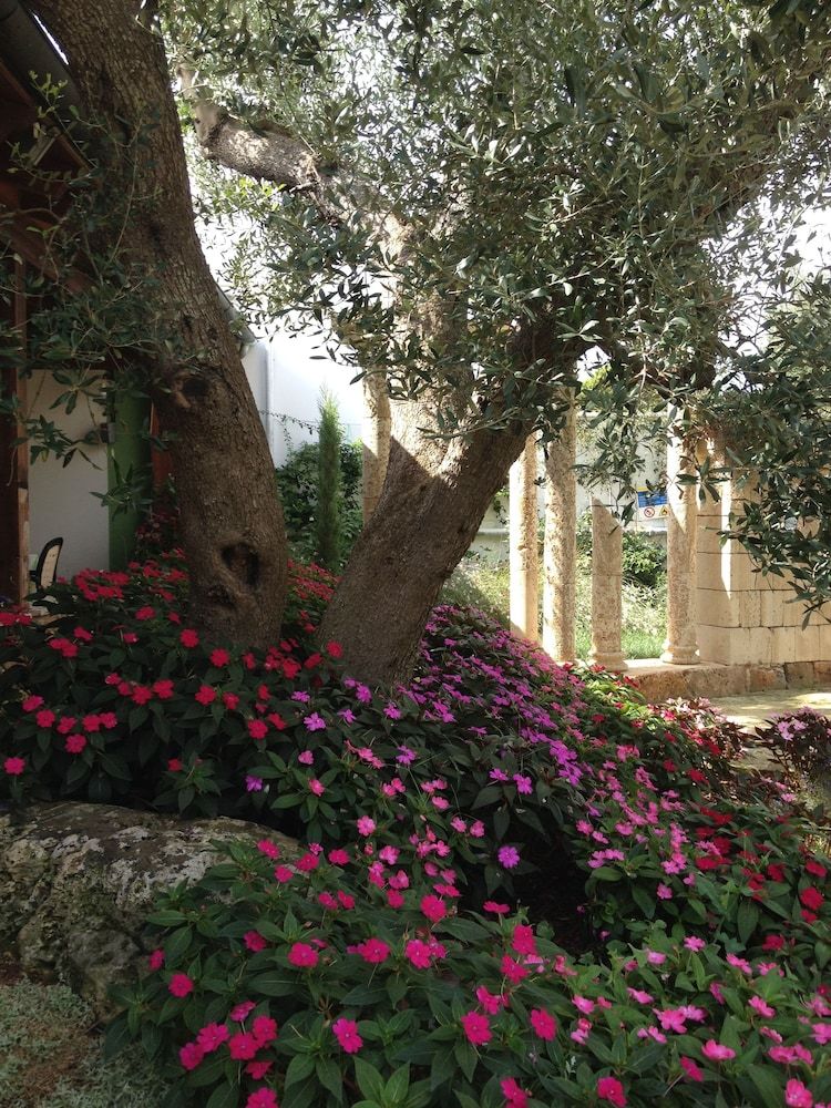 Villa Vacanze Paradiso 3