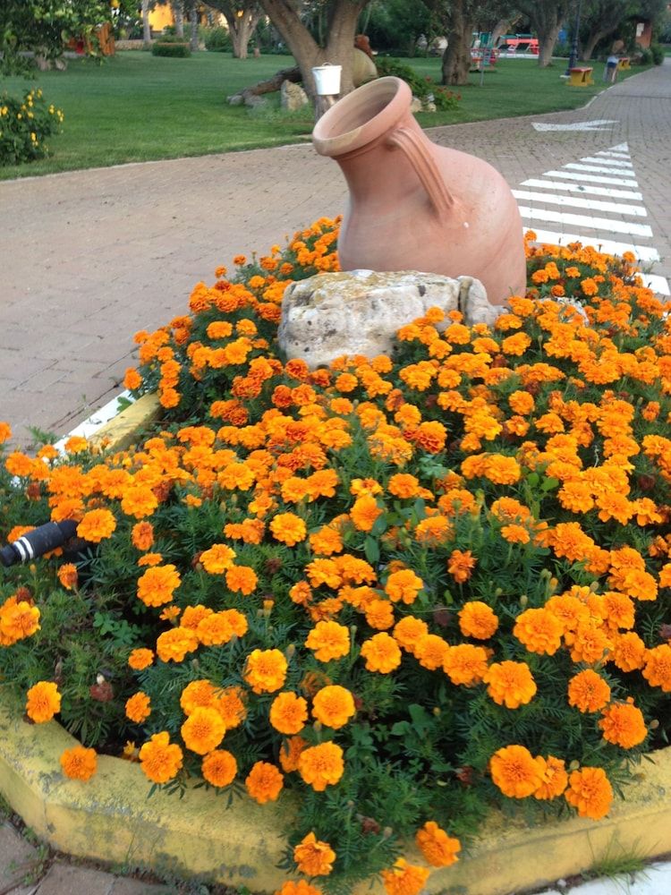 Villa Vacanze Paradiso 2