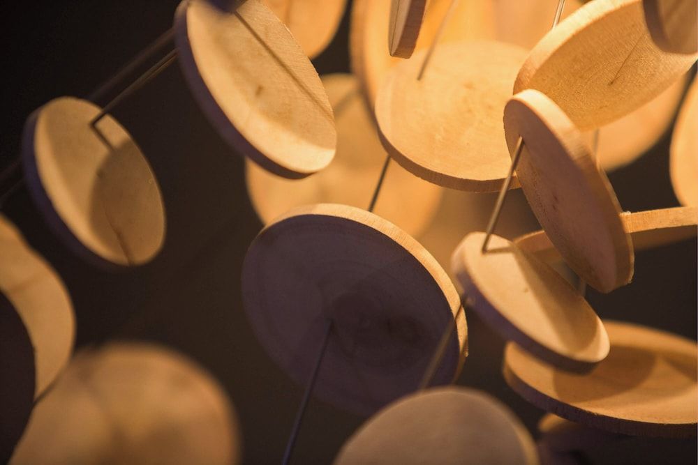 Renaissance Meadowlands Hotel 3