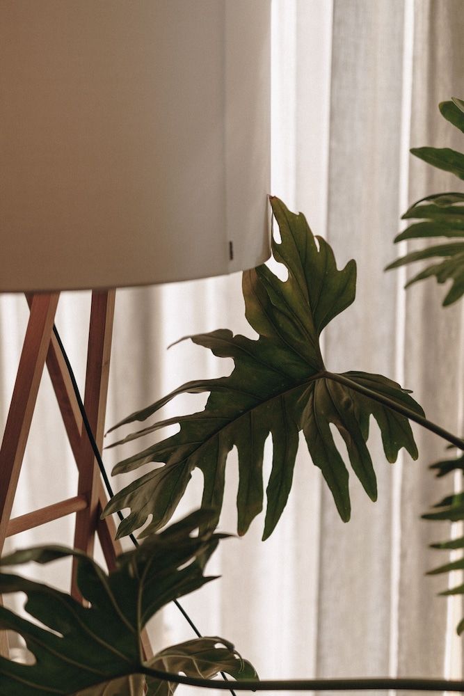 Hotel Schwarzschmied 2