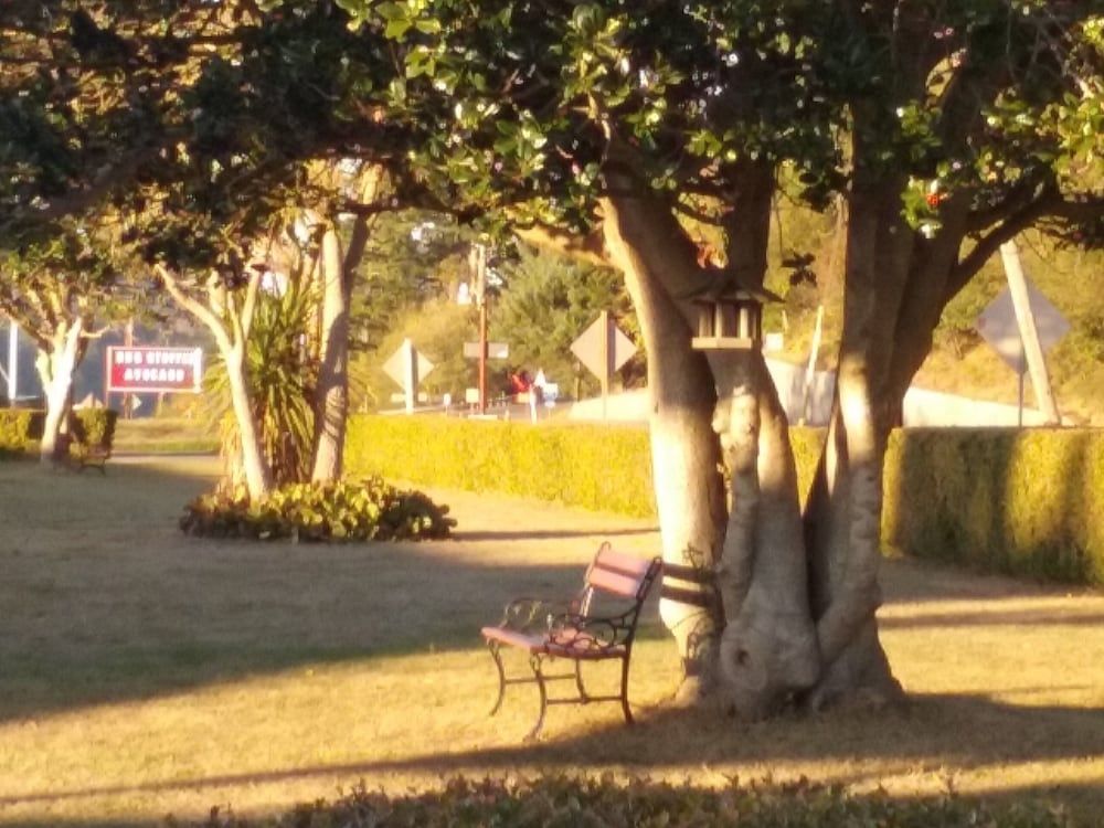 Bay Bridge Motel -1 étoiles à North Bend