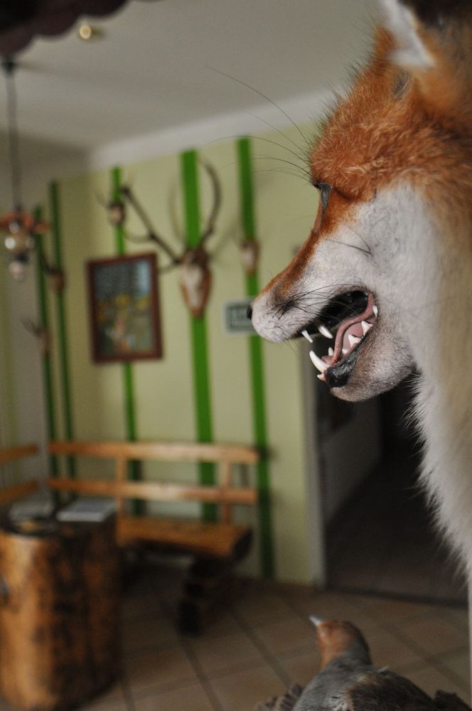 Rennsteighotel Herrnberger Hof 2