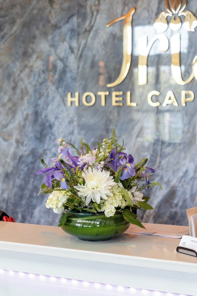 Hotel Cape Cod-Falmouth 3 étoiles à Falmouth