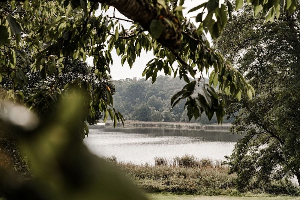 THE RESET -1 étoiles à Groß Plasten