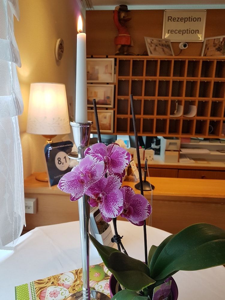 Hotel Wilhelm von Nassau 3