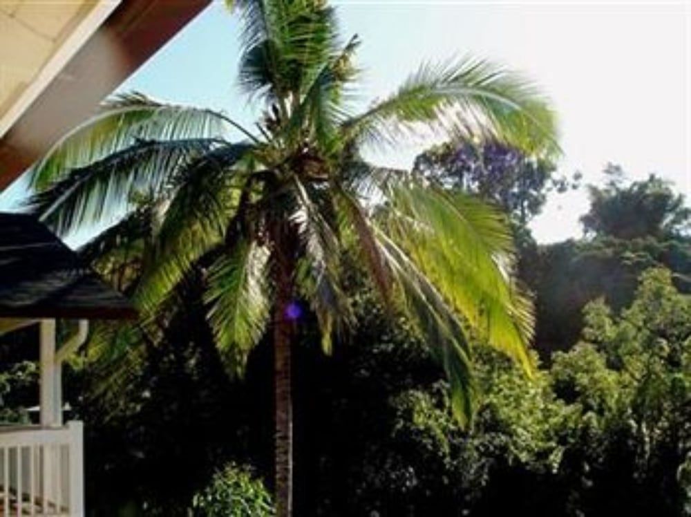 Bamboo Valley Inn -1 étoiles à Haiku