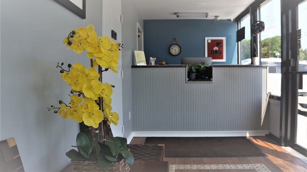 Classic Motor Lodge West Green 3