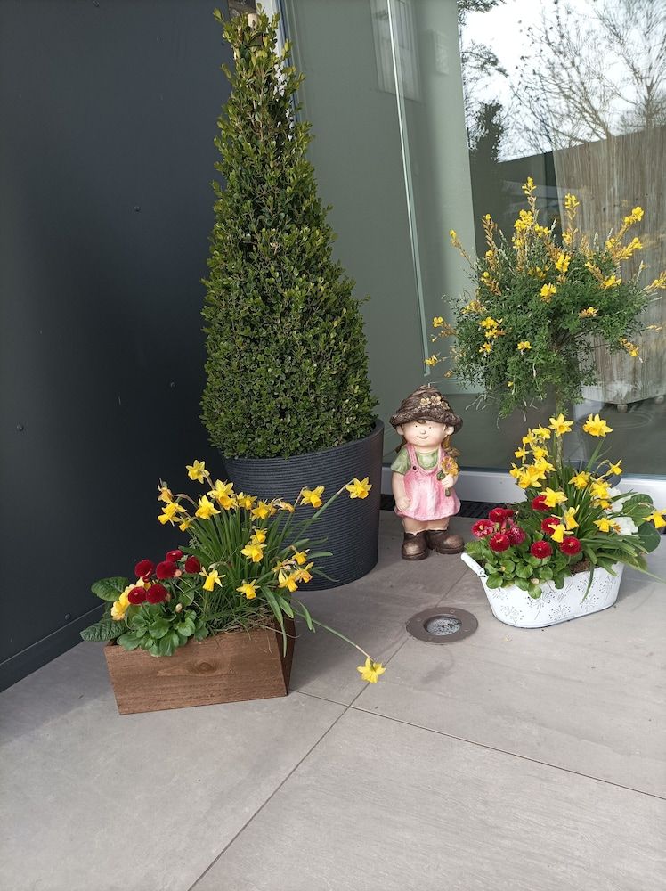 Hotel Landhaus Sterdebüll -1 estrelas em Bordelum