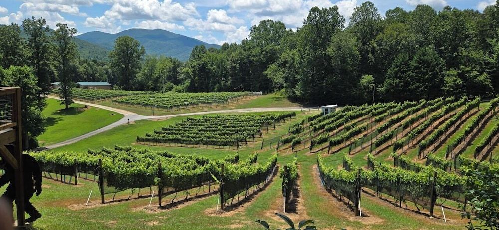 Paradise Hills Winery Resort and Spa -1 estrelas em Blairsville