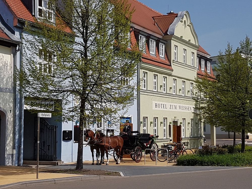 Hotel zum Weissen Ross -1 estrelas em Delitzsch