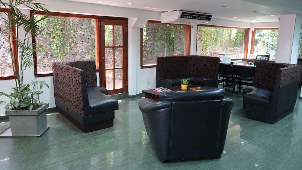 Hotel Casa del Arbol 2