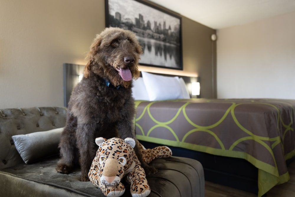 Super 8 by Wyndham McDonough GA 3