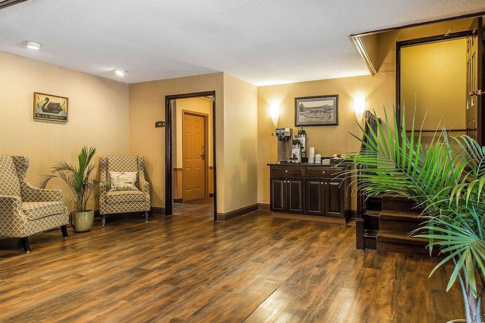 The Black Swan Lee Lenox Ascend Hotel Collection 2