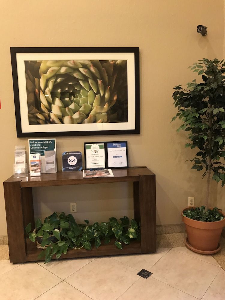 Comfort Inn Near Gila National Forest 2