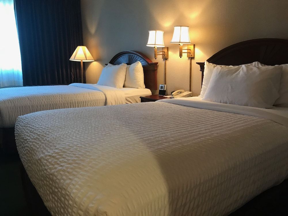 Hotel Downtown - University Area 3