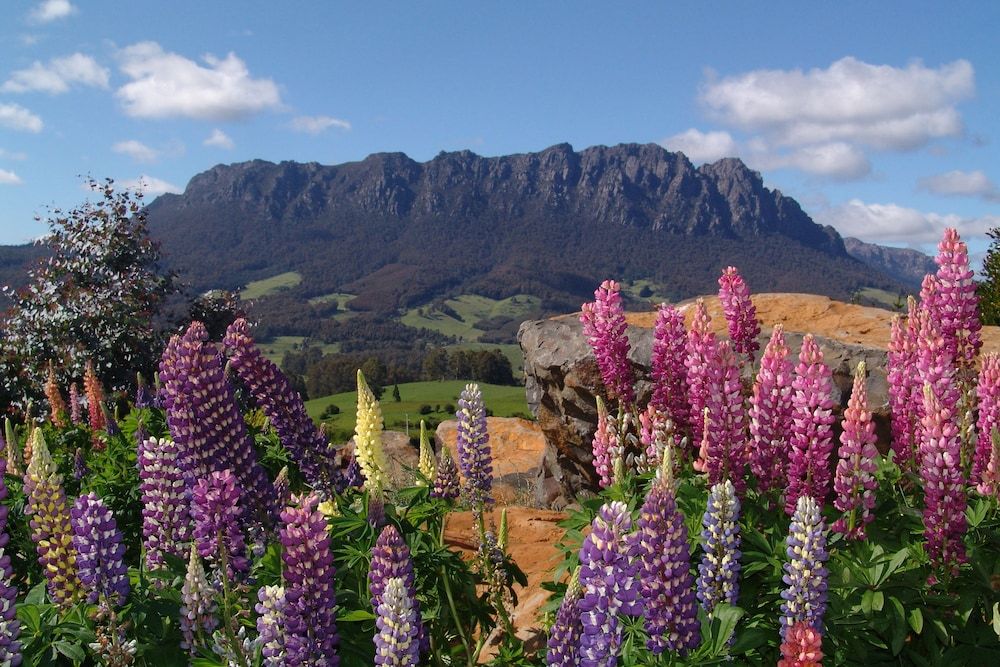 AAA Granary Accommodation 3 estrelas em Promised Land