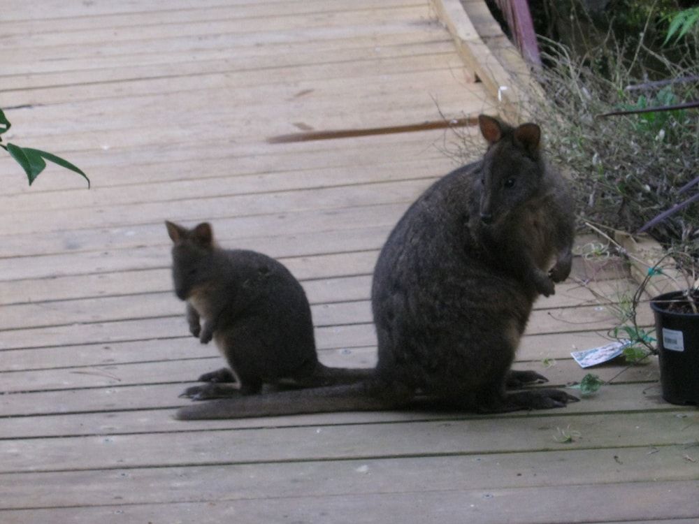 AAA Granary Accommodation 3