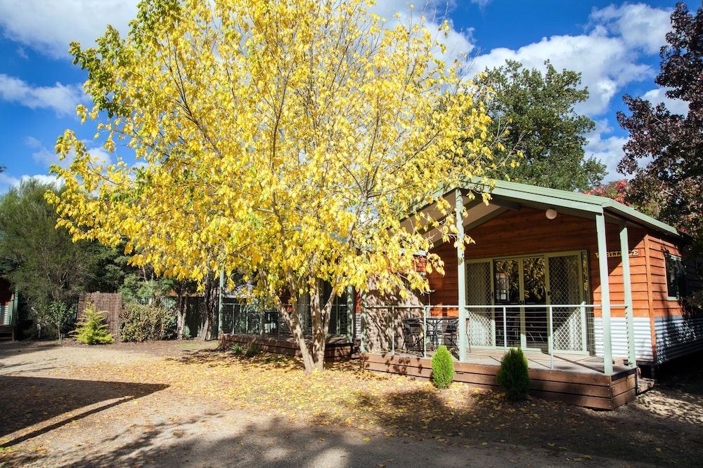 Big4 Tasman Holiday Parks - Bright 3